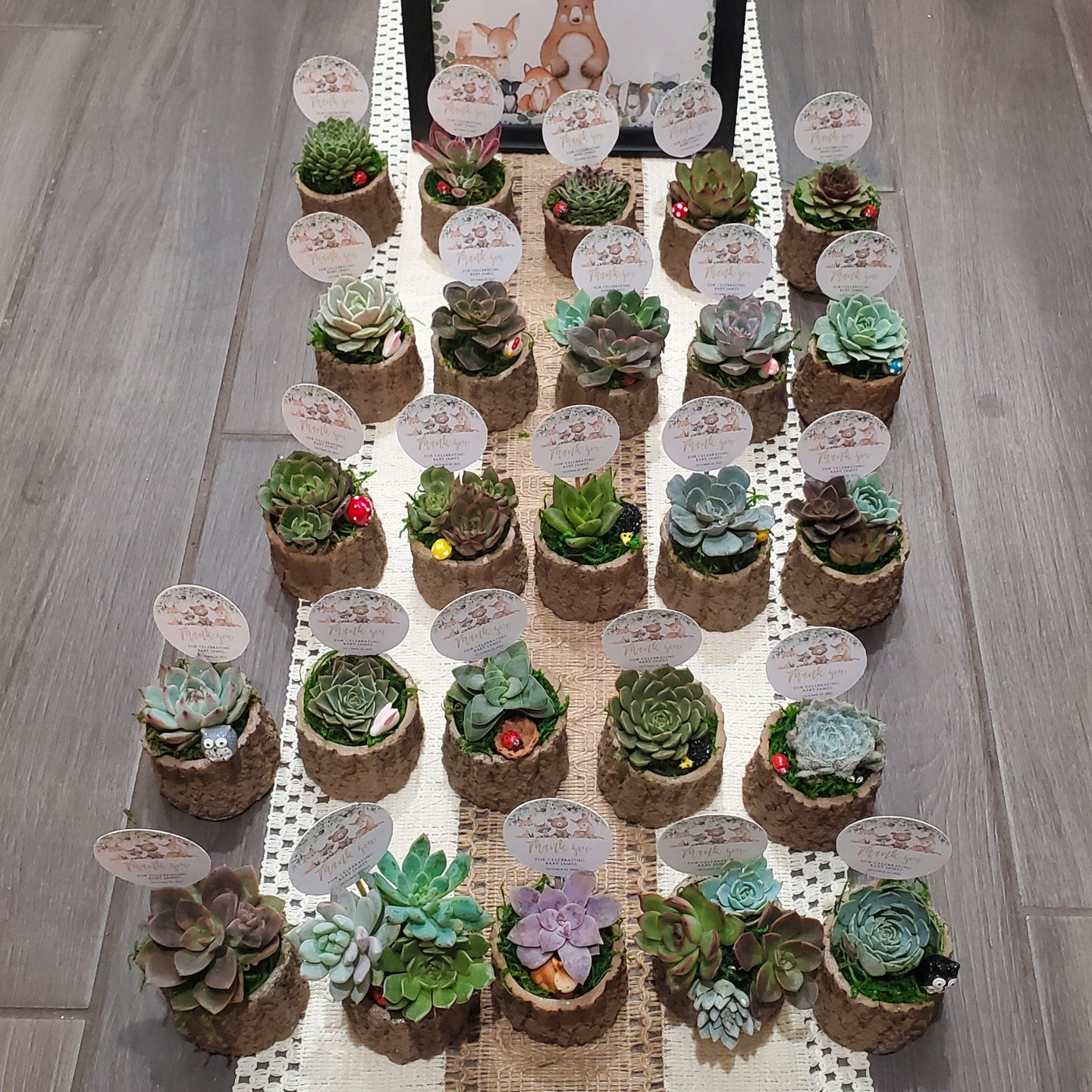 Woodland Themed Succulent Favors
